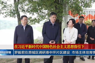 罗毅君在鼎城区调研港中坪片区建设 市场主体培育情况