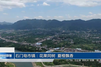 石门皂市镇：花果同树 夏橙飘香