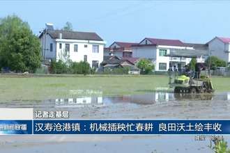 汉寿沧港镇：机械插秧忙春耕 良田沃土绘丰收