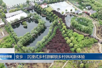 安乡：沉浸式乡村游解锁乡村休闲新体验