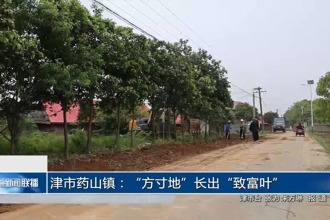 津市药山镇：