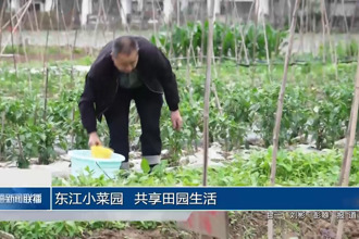 都市共享小菜园 解锁城市田园慢生活