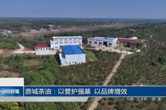 鼎城茶油：以管护强基 以品牌增效