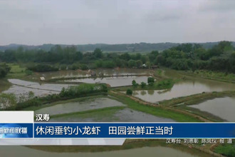 汉寿：休闲垂钓小龙虾 田园尝鲜正当时