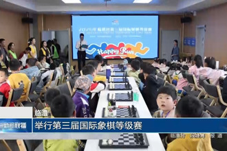临澧：举行第三届国际象棋等级赛