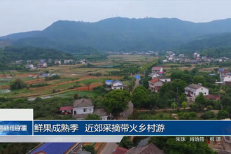 鲜果成熟季 近郊采摘带火乡村游