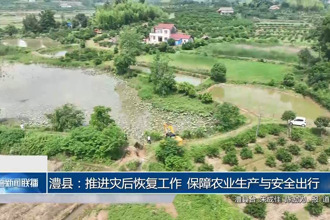 澧县：推进灾后恢复工作 保障农业生产与安全出行