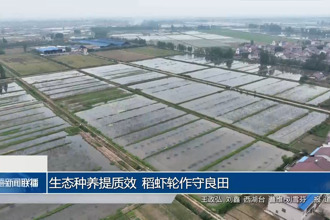 生态种养提质效 稻虾轮作守良田