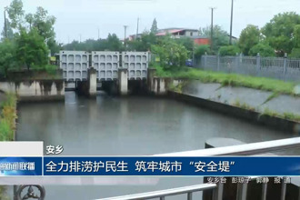 安乡：全力排涝护民生 筑牢城市