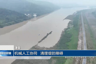 澧县：机械人工协同 清理堤防障碍