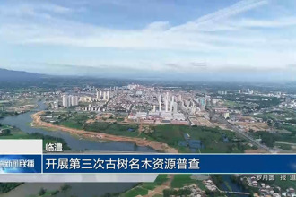 临澧：开展第三次古树名木资源普查
