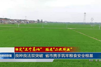 良种良法双突破 省市携手筑牢粮食安全根基