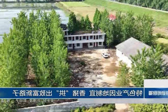 特色产业因地制宜 香猪
