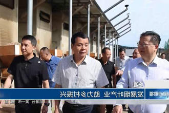临澧：发展烟叶产业 助力乡村振兴