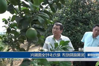 临澧：发展庭院经济 助力乡村全面振兴