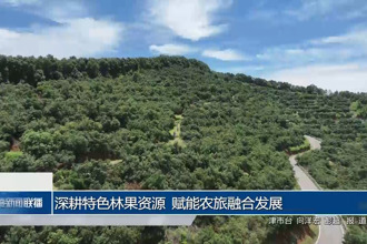 深耕特色林果资源 赋能农旅融合发展