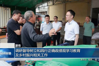 津市：调研督导树立和践行正确政绩观学习教育及乡村振兴相关工作