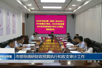 市领导调研财政预算执行和收支审计工作