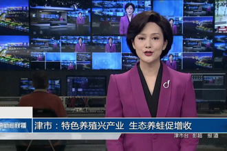 津市：特色养殖兴产业 生态养蛙促增收