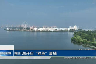 柳叶湖开启