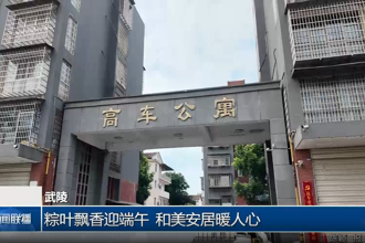 武陵：粽叶飘香迎端午 和美安居暖人心