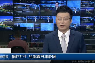 稻虾共生 绘就夏日丰收图