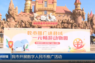 常德市开展数字人民币推广活动