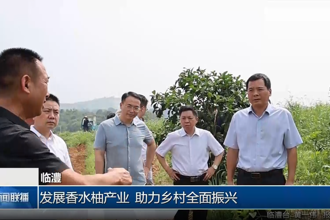 临澧：发展香水柚产业 助力乡村全面振兴