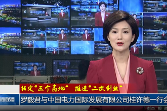 罗毅君与中国电力国际发展有限公司桂许德一行会谈