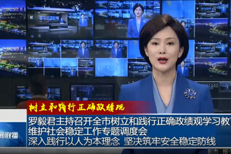 罗毅君主持召开全市树立和践行正确政绩观学习教育维护社会稳定工作专题调度会 深入践行以人为本理念 坚决