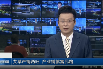 艾草产销两旺 产业铺就富民路