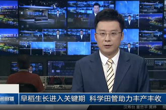 早稻生长进入关键期 科学田管助力丰产丰收