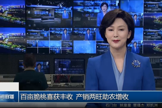 百亩脆桃喜获丰收 产销两旺助农增收