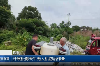 临澧：开展松褐天牛无人机防治作业