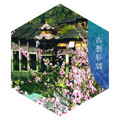 澳门新葡新京在线