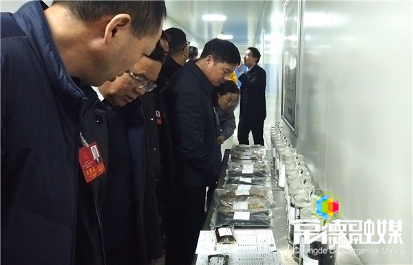 澳门新葡新京在线