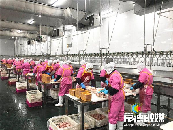 澳门新葡新京在线