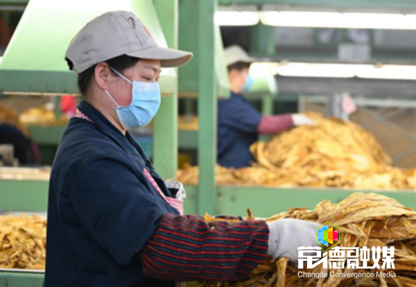 澳门新葡新京在线