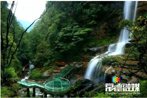 澳门新葡新京在线