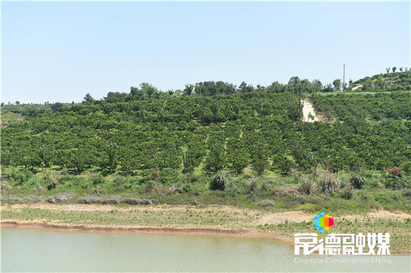 澳门新葡新京在线
