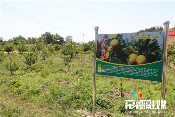 澳门新葡新京在线