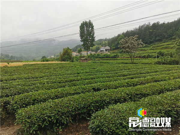 澳门新葡新京在线