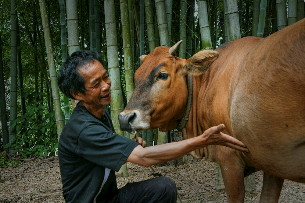 澳门新葡新京在线