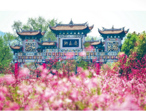 澳门新葡新京在线