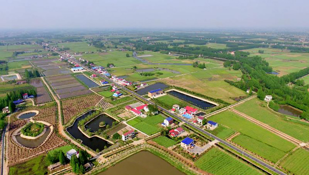 澳门新葡新京在线