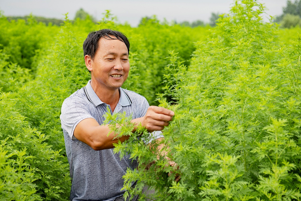 澳门新葡新京在线