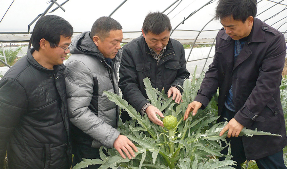澳门新葡新京在线