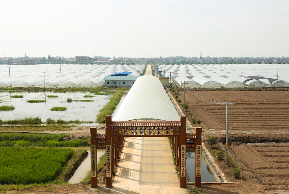 澳门新葡新京在线