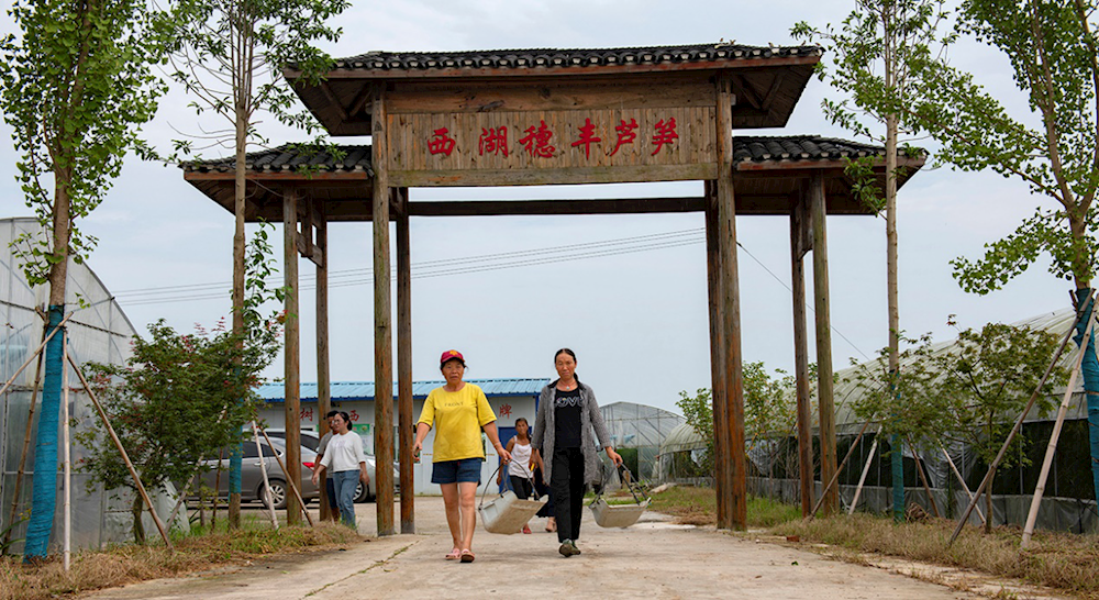 澳门新葡新京在线