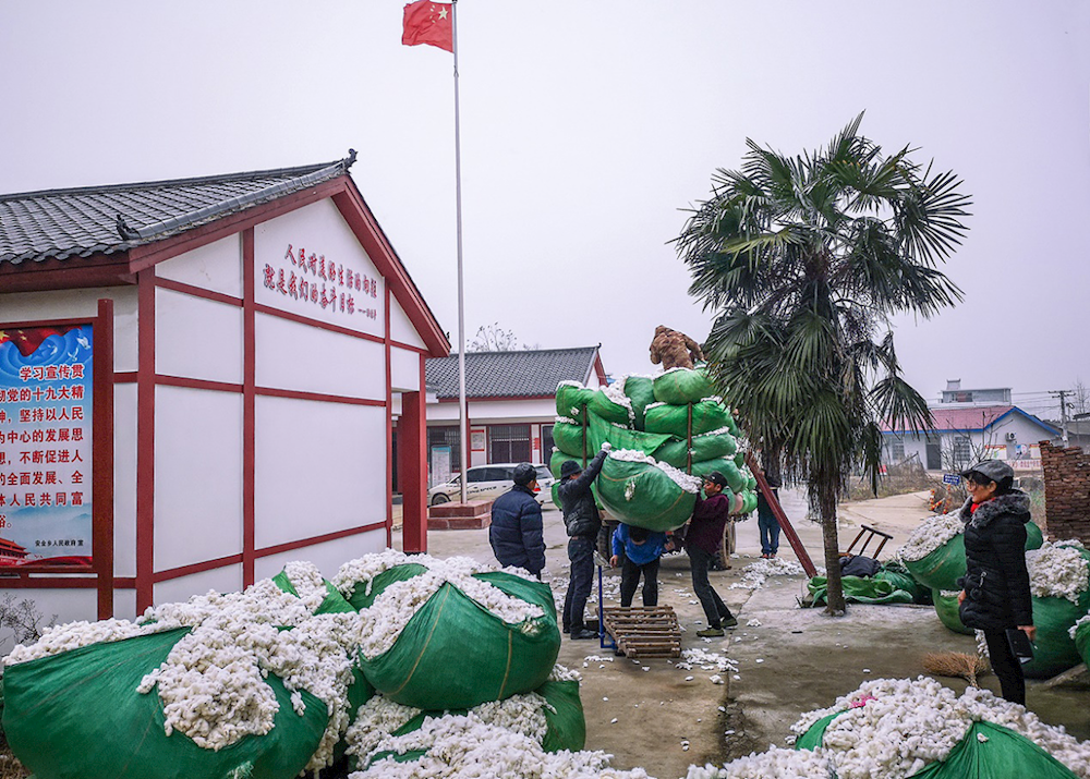 澳门新葡新京在线